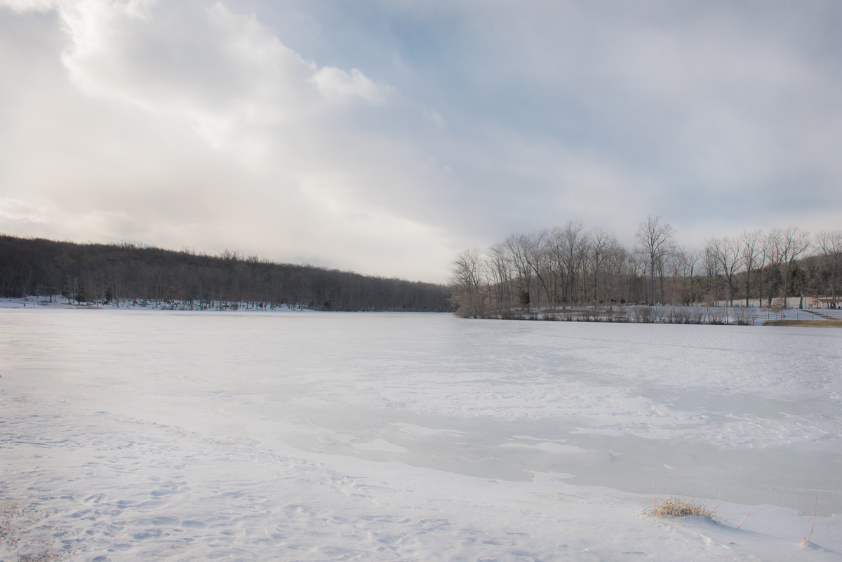Montgomery County Park frozen lake